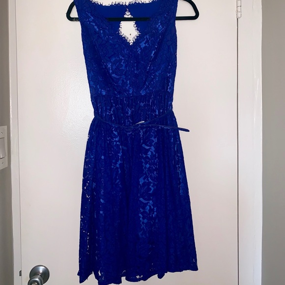 Eliza J Fit and Flare Lace Dress- Royal Blue - Picture 6 of 7